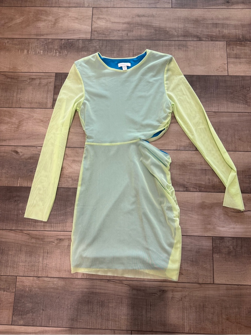 Unknown Brand Light Green Sheer Long-Sleeve Mini Dress